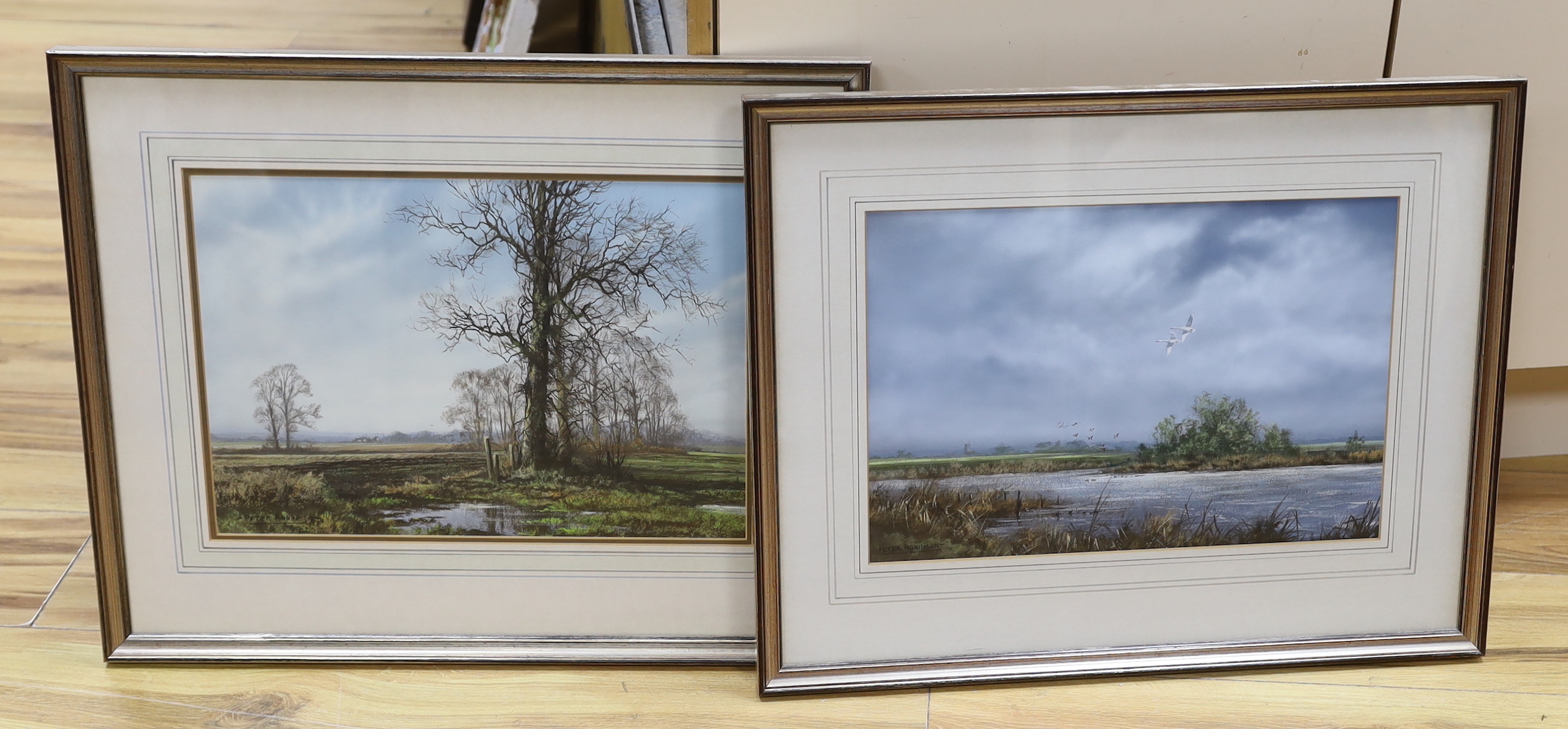 Peter Robinson (20th. C), two gouaches, River landscape with birds in flight and rural landscape, each signed, largest 27 x 38cm